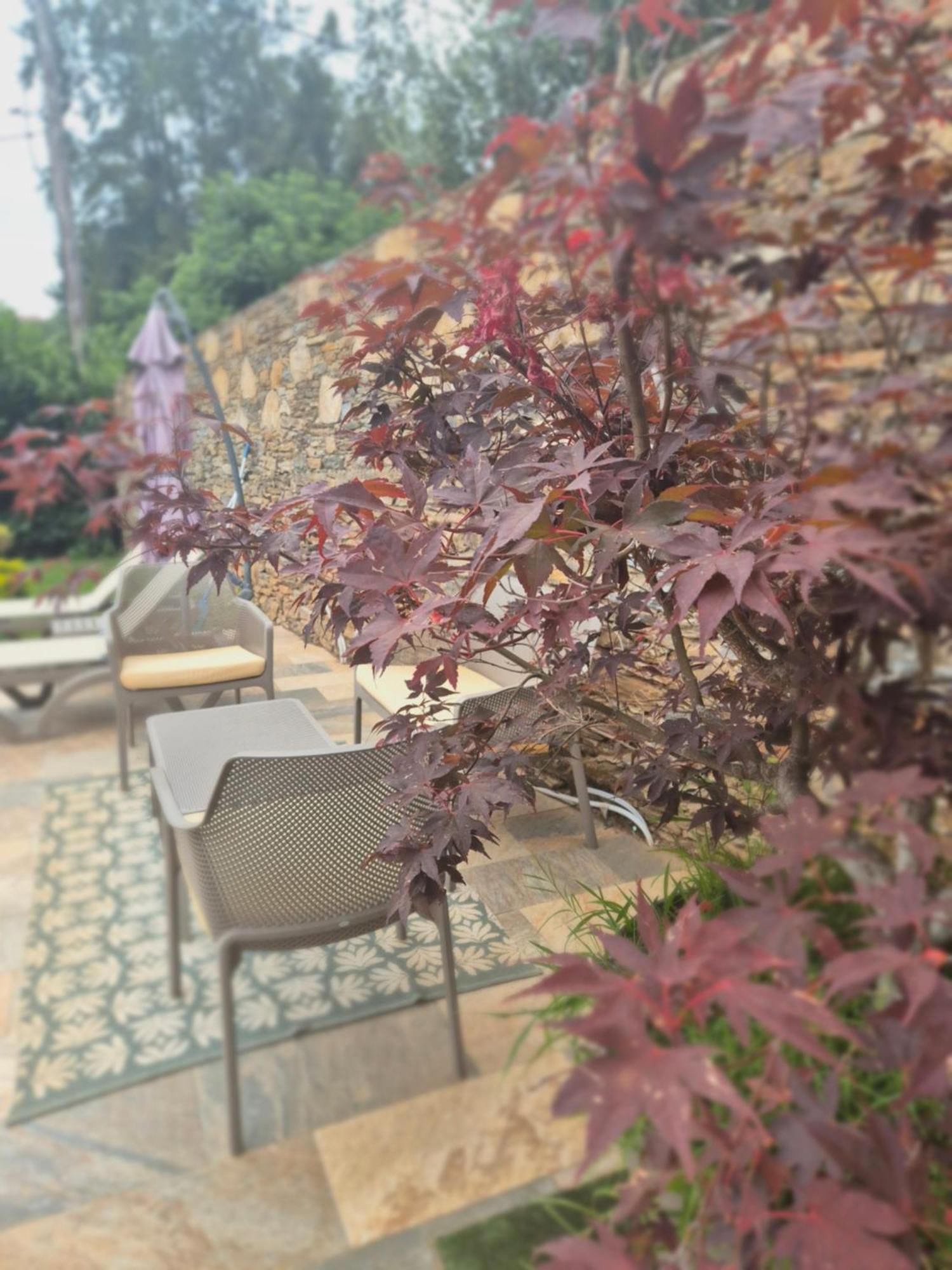 Rez De Villa Avec Piscine Privee, Wifi, Jardin Cloture Penta di Casinca Εξωτερικό φωτογραφία
